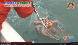 触手动漫推荐,探索二次元世界的奇幻之旅